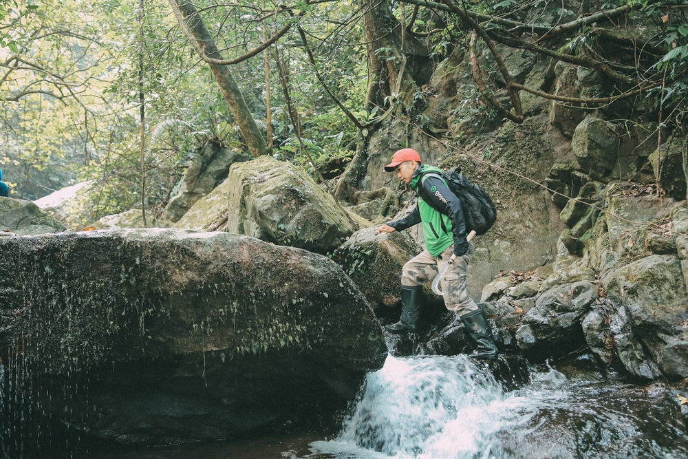 Có nhiều tour trekking với cấp độ khó khác nhau, phù hợp cho du khách muốn khám phá thiên nhiên hoang dã